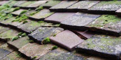 Churchill roof repair costs